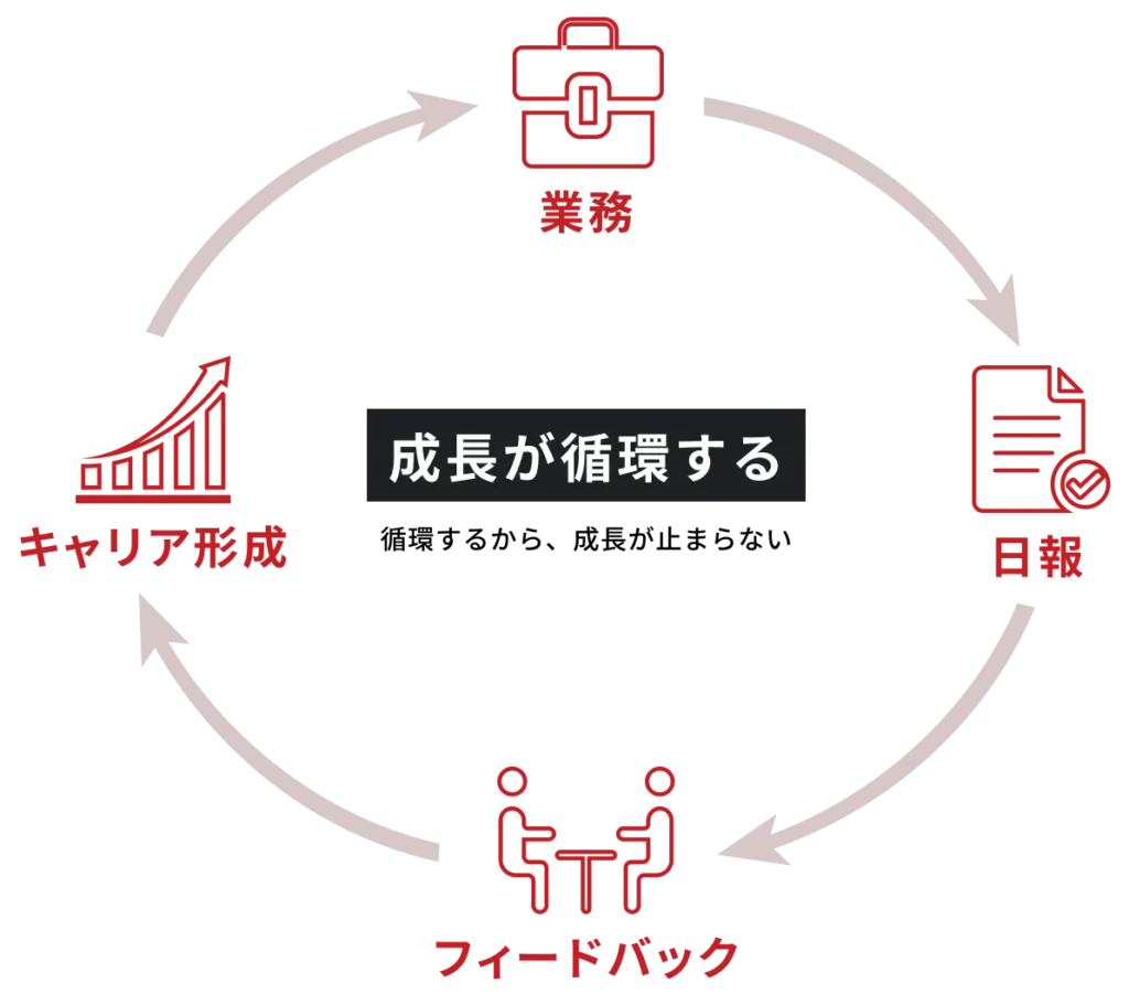 DSCの育成スタイル